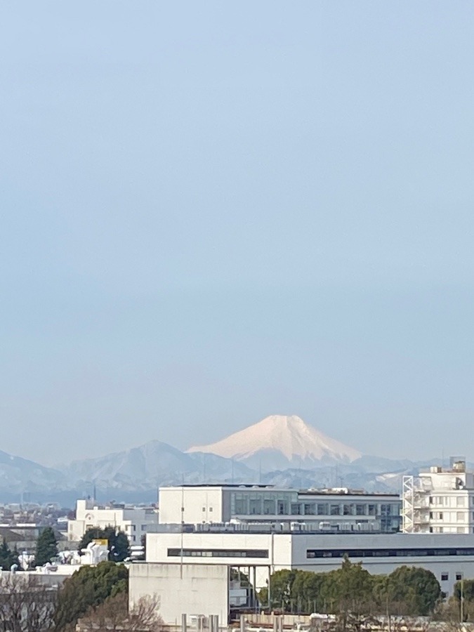 今朝の富士山