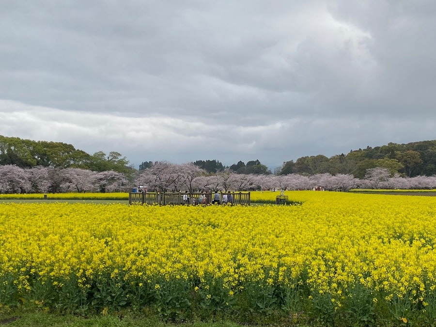 雲もくもく部　　2022年3月30日