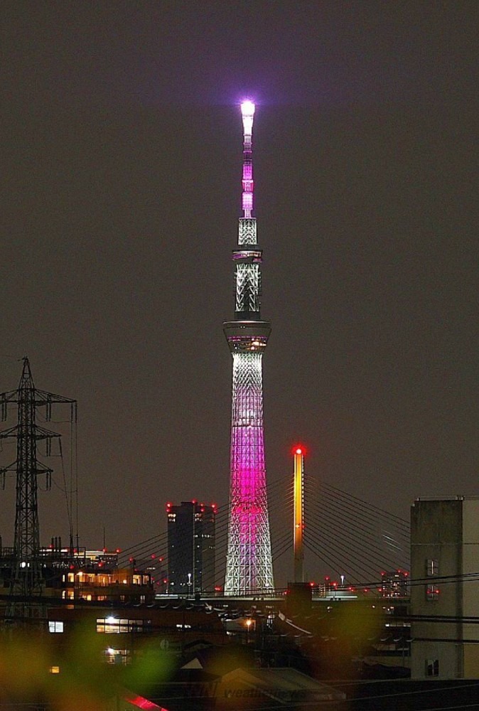 スカイツリー桜🌸ライティング