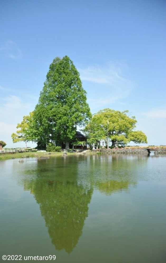 佐賀の風景「白石町 縫いの池」