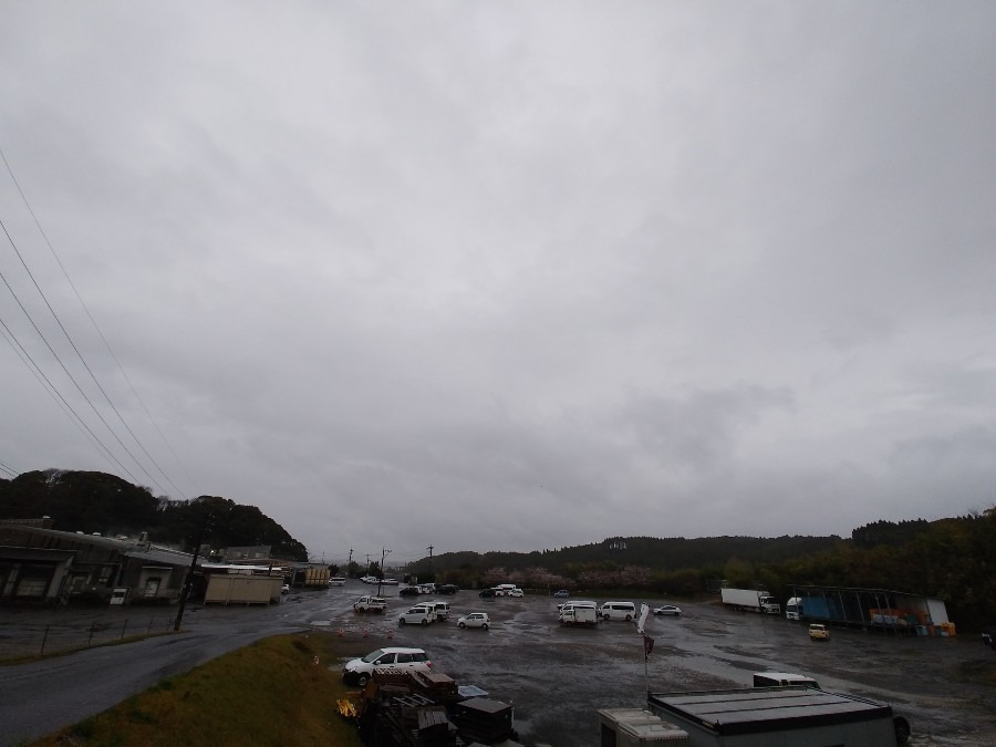 都城市　☔今朝は雨降ってます😞