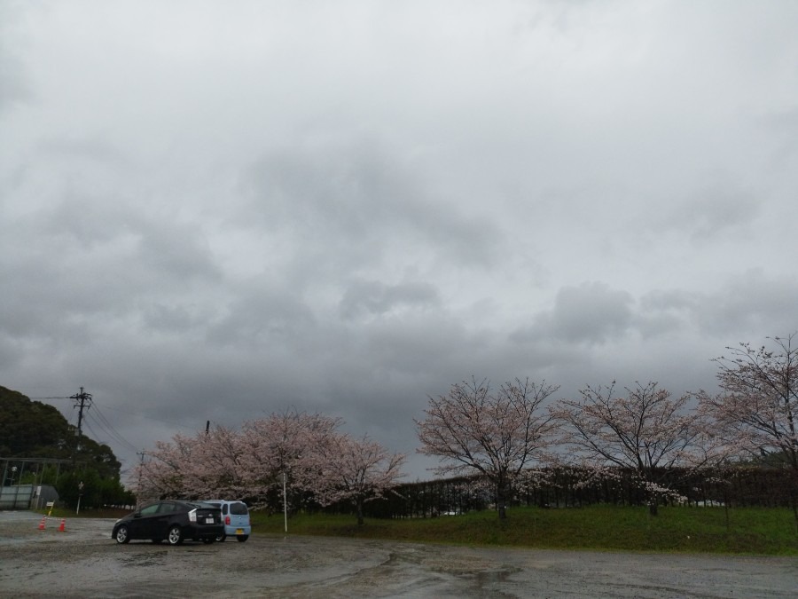 都城市　☔今朝は雨降ってます😨