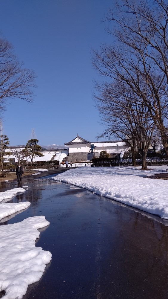 雪融け間近 春待ち 霞城公園