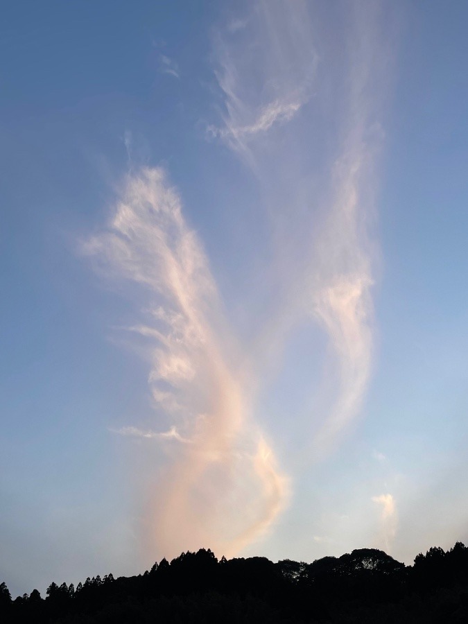 いつかの空