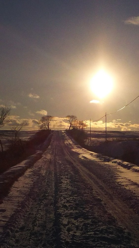 雪の農道と夕日