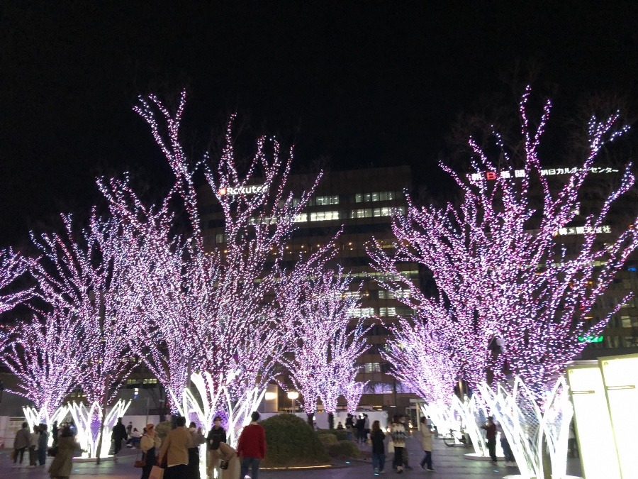 桜色の