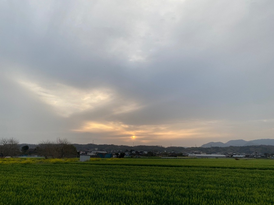 今朝の空♡