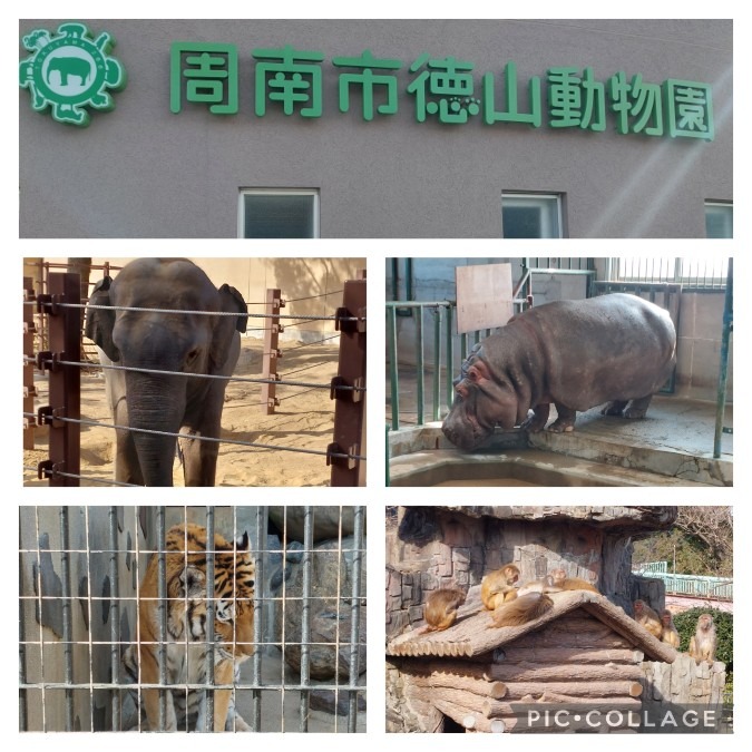 久しぶりの動物園🐘