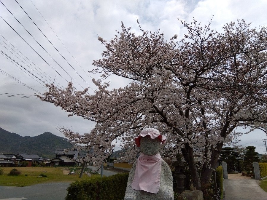 お地蔵さんと花見