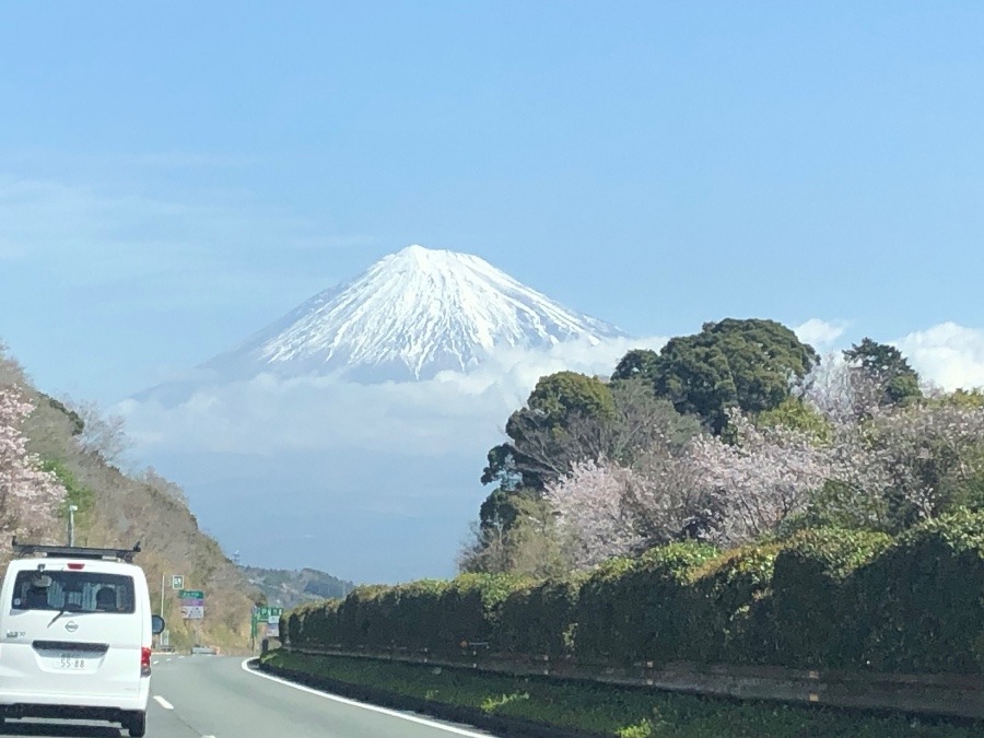 今朝の富士山