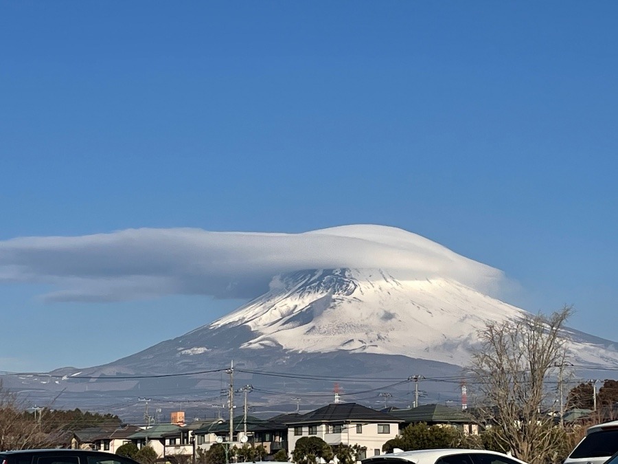 パワーいただきました。