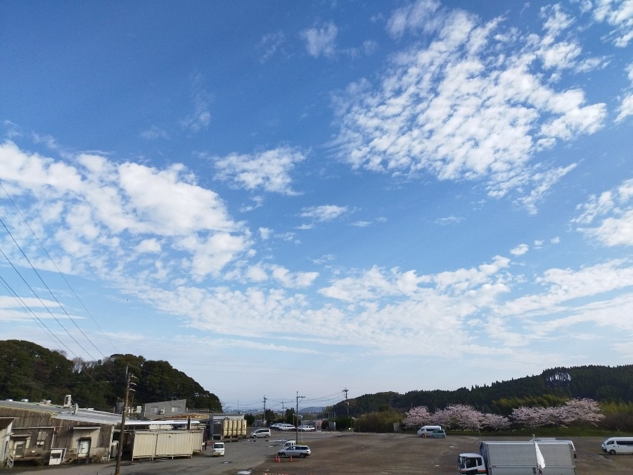 都城市　☀️朝から晴れてます🙂