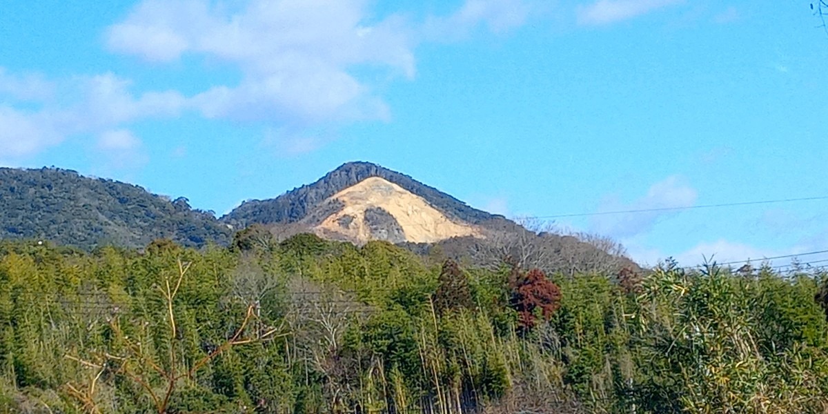 この山、パンダに見えませんか？