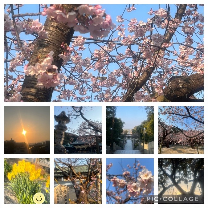 今日の朝活☀️🌸