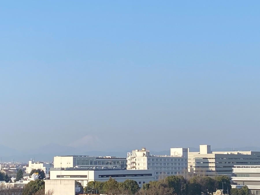 3-12  朝の富士山
