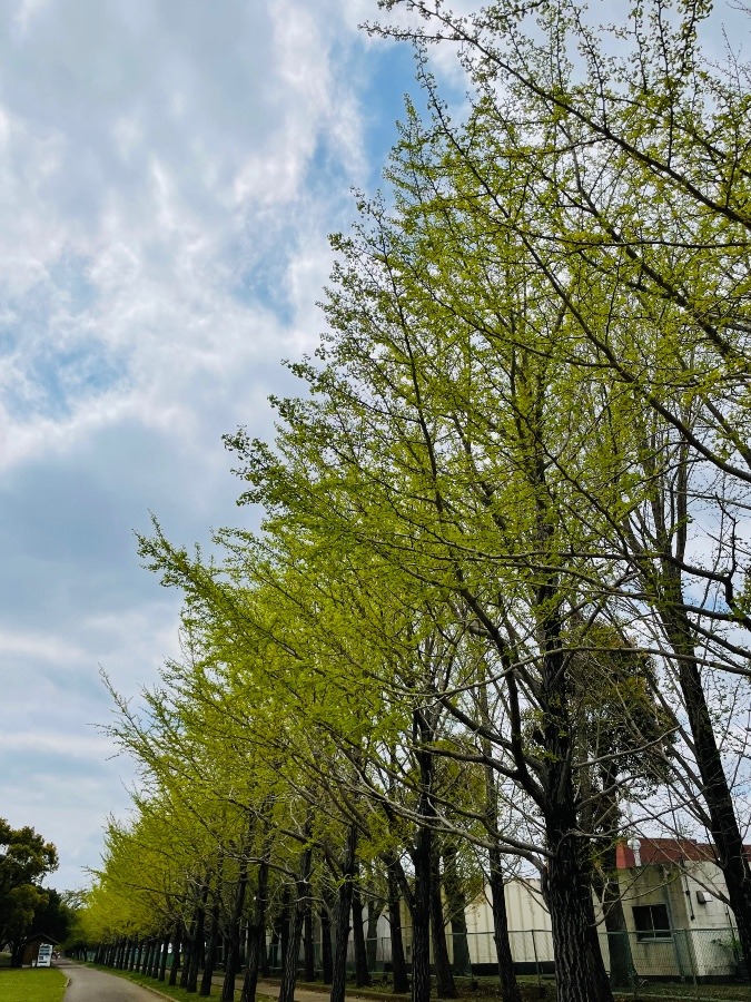 久しぶりに公園へ^_^