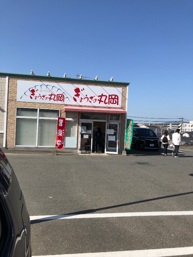 丸岡餃子店へ行きました。