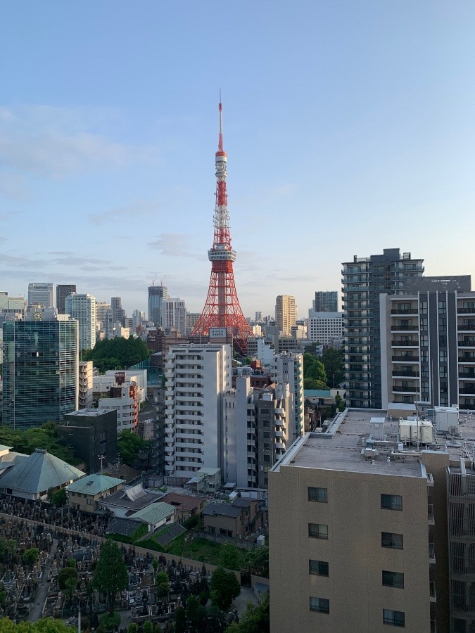 言わずと知れた、東京タワー