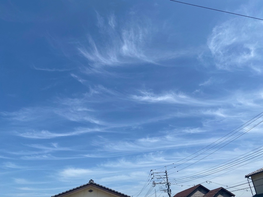 今空