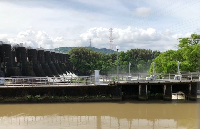 雨上がりの出会い③一斉放水🏞