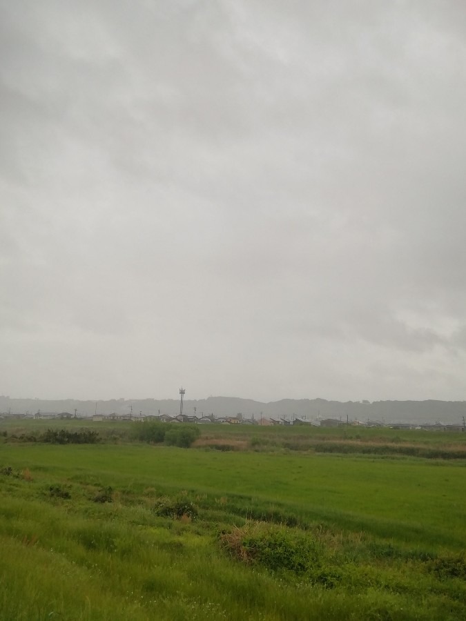 今朝の空