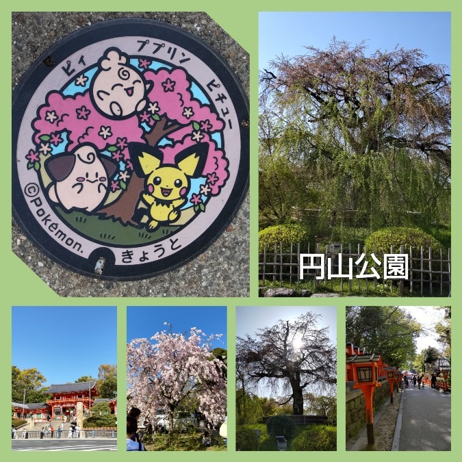 ポケふた・・in円山公園（八坂神社）🤗