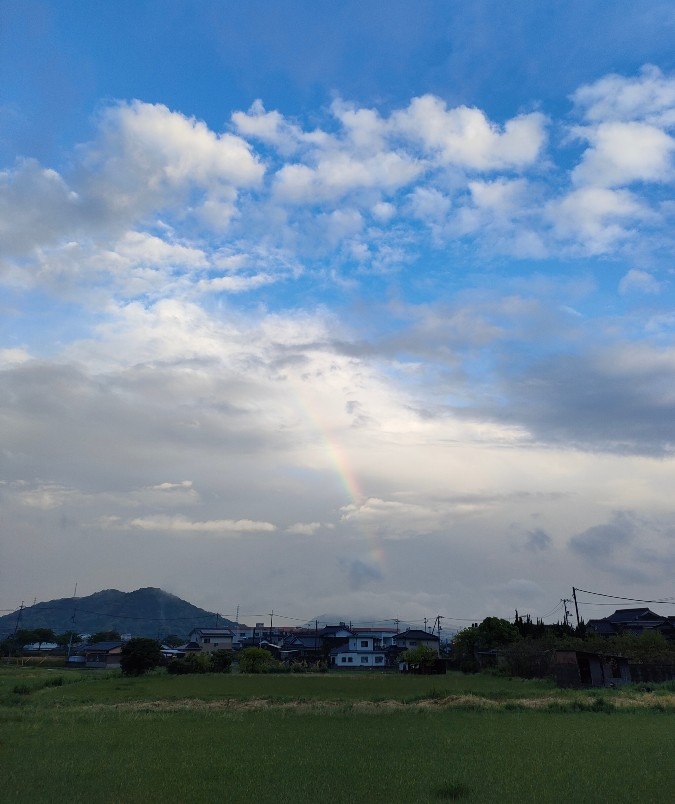 薄っすらと虹が出てます🌈