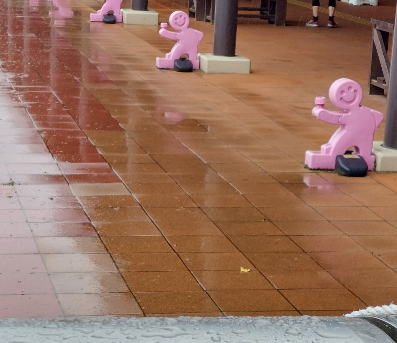 古賀PAで