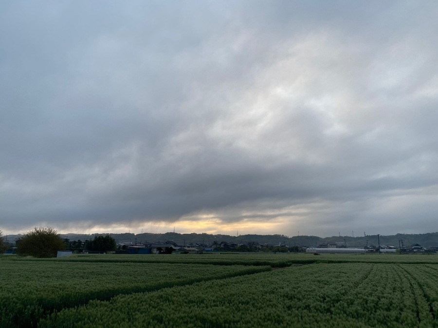 今朝の空