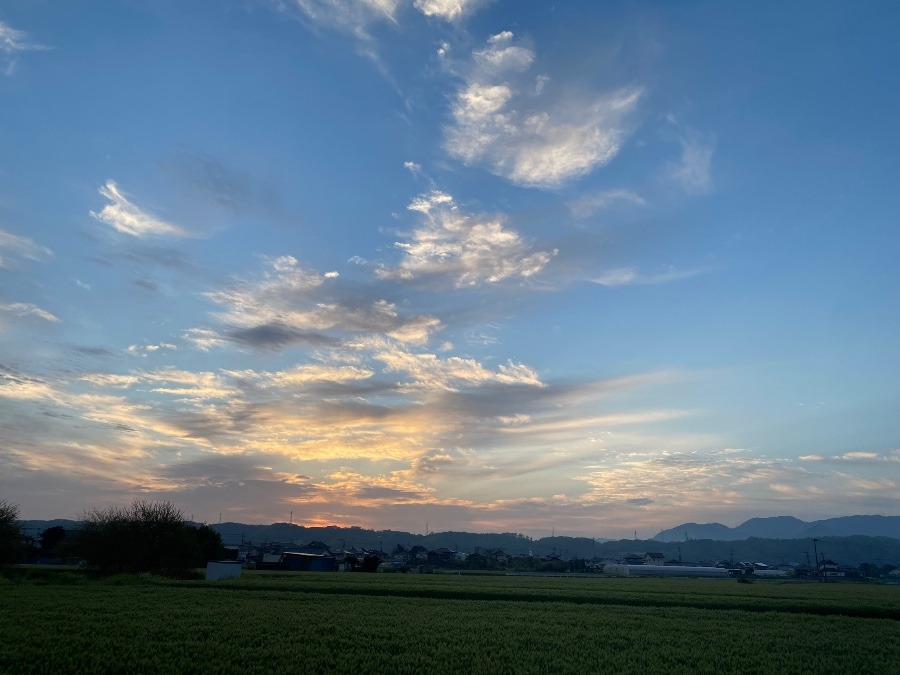 今朝の空