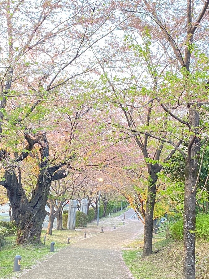 花まつり