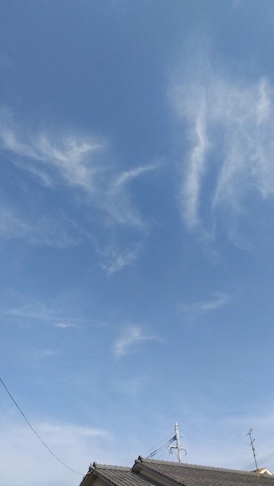 今日の空