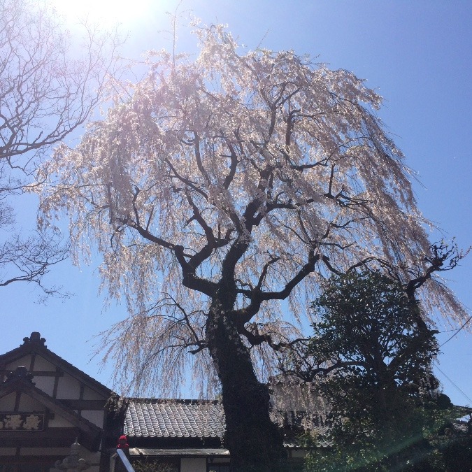 青空の下で