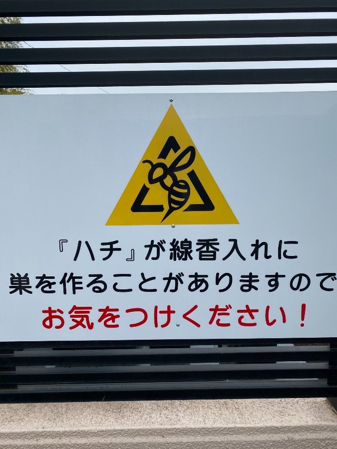 お墓参りで‼️