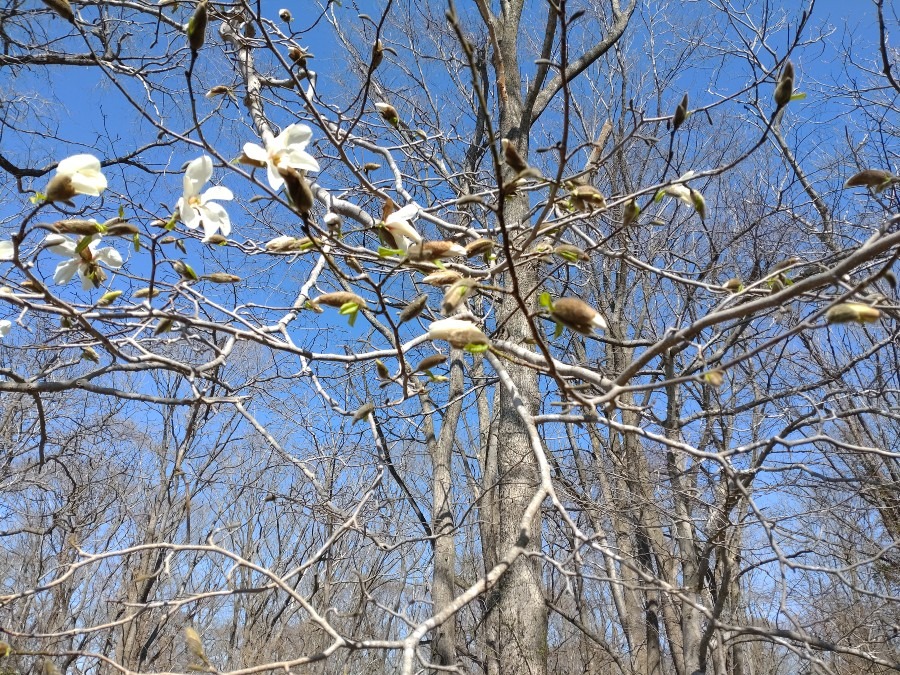 青空に向かって