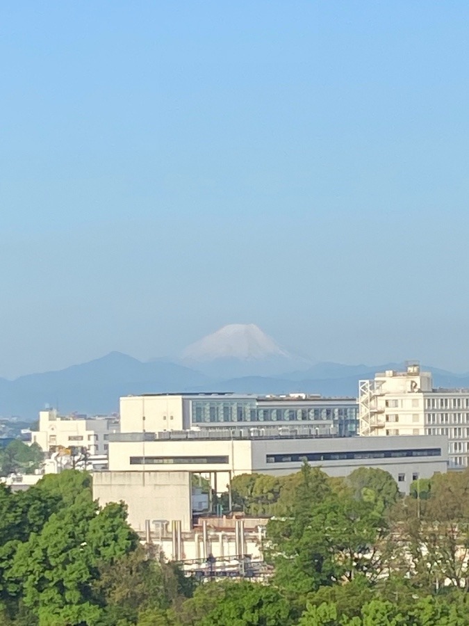 今朝の富士山