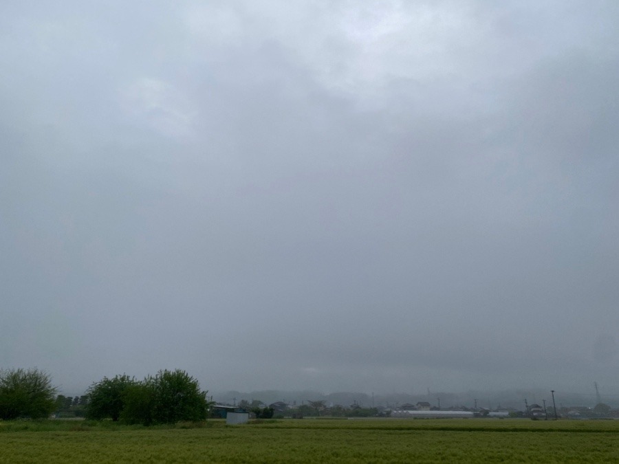 今朝は雨