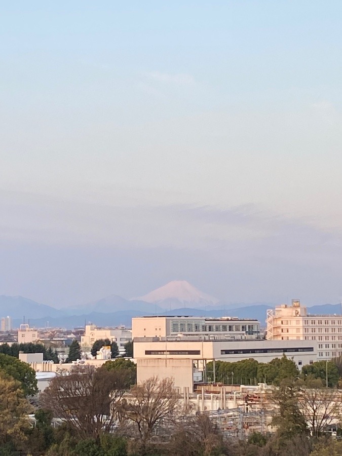 ４月２日　朝の富士山🗻