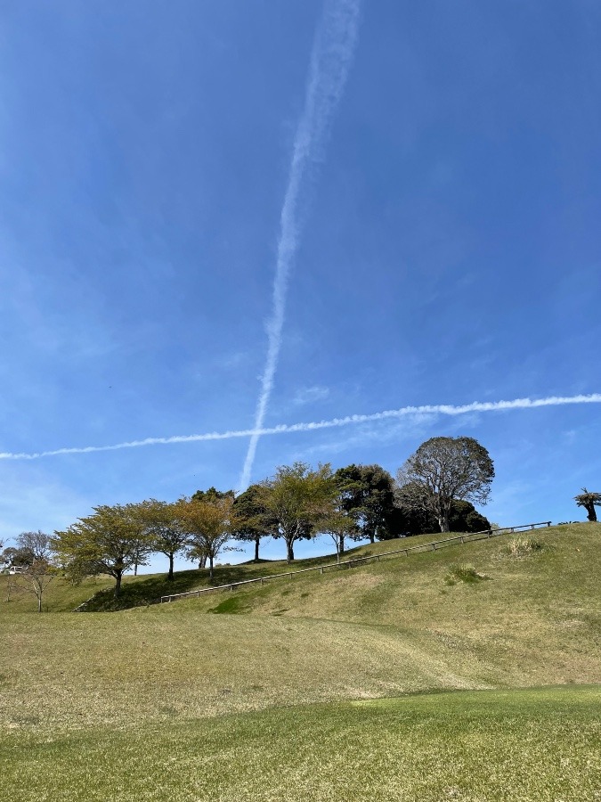 飛行機雲