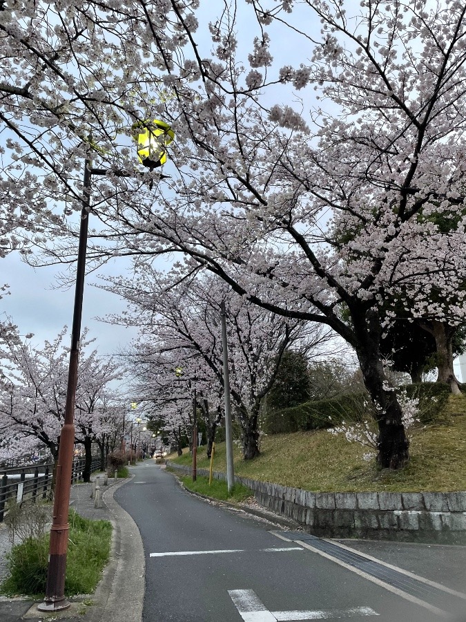 仕事帰りに