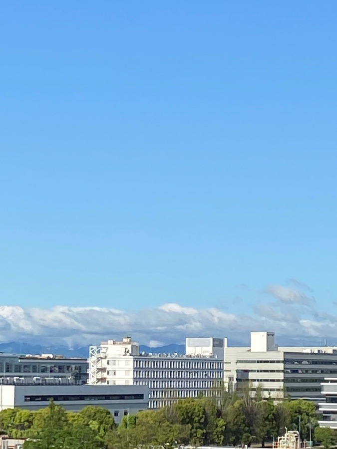 今朝の富士山