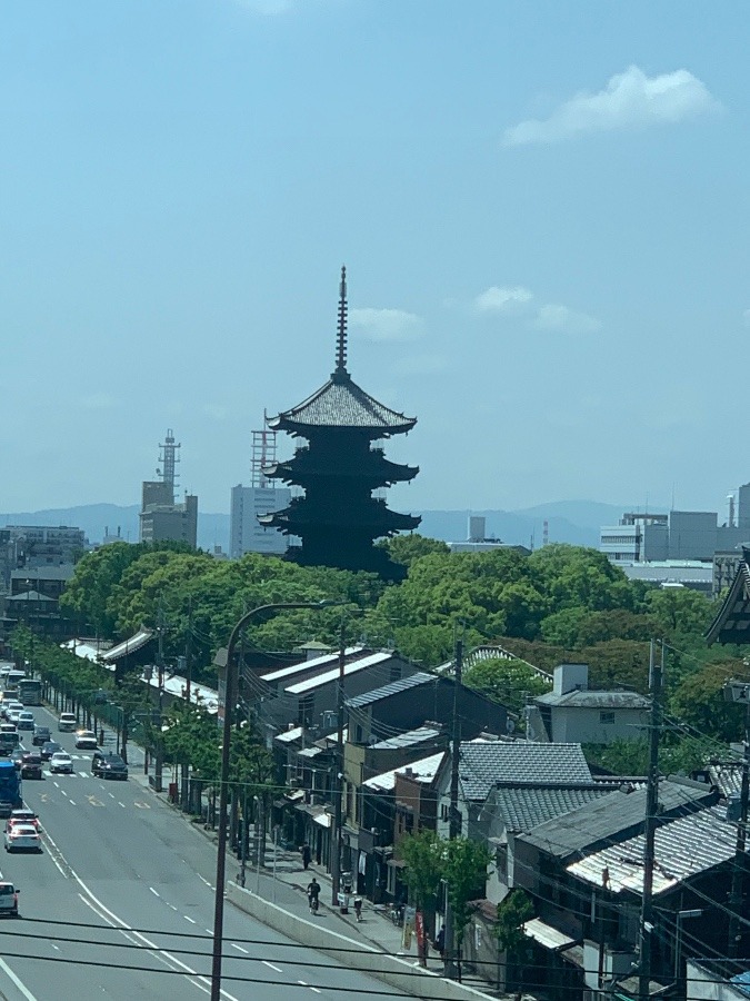 新幹線の車窓から