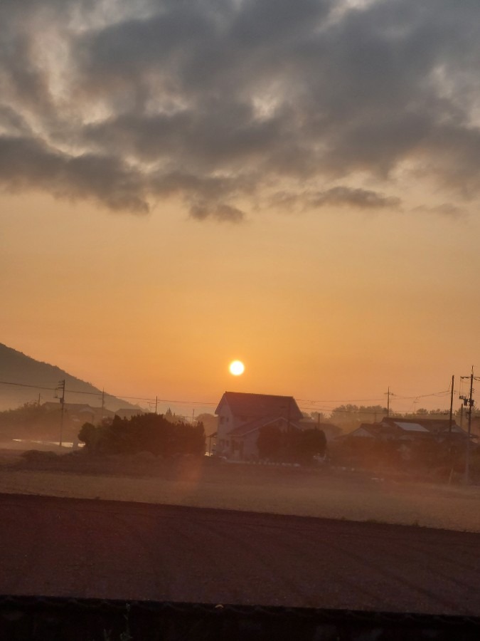 今日の朝日