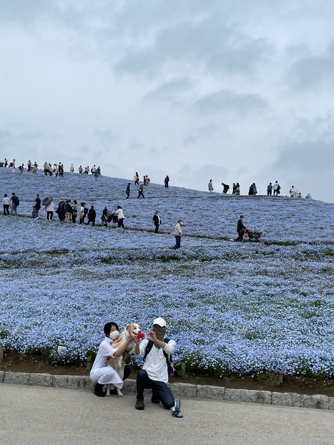 ひたちなか海浜公園