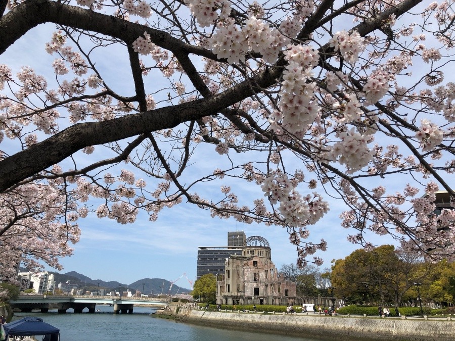 平和公園から🌸