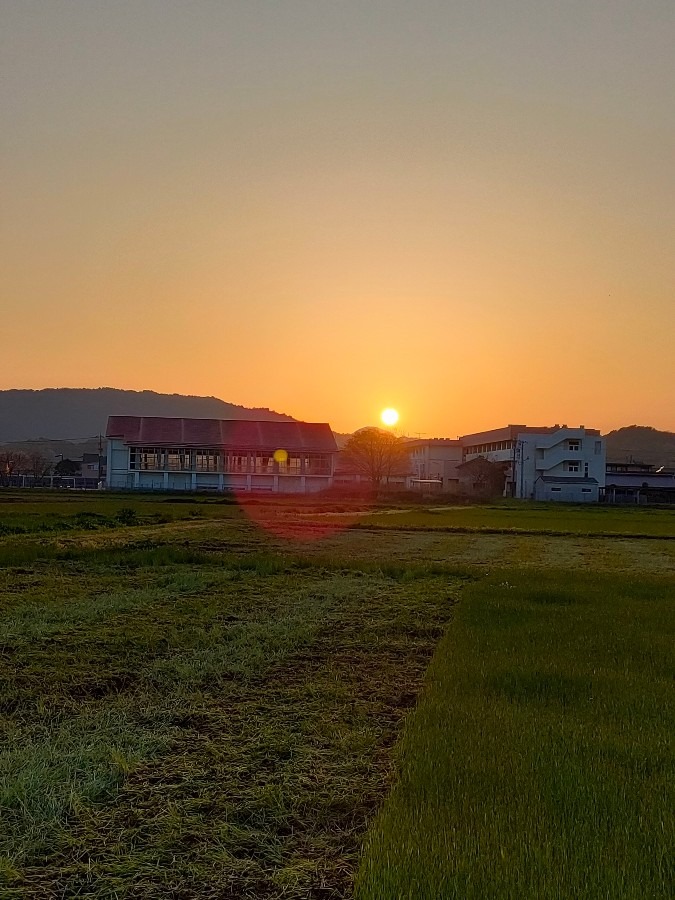 4月9日の夕陽🌄