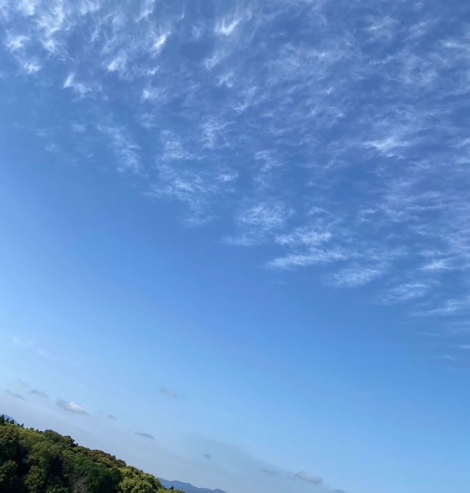 宮崎市8時35分の空☀️