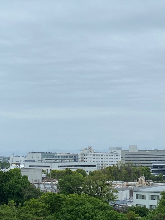 今朝の富士山