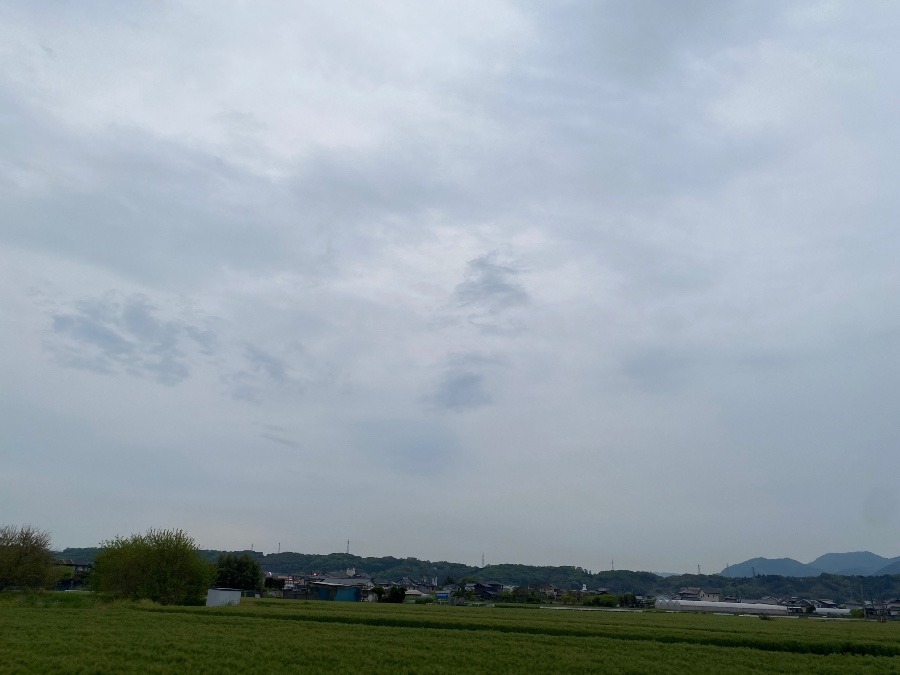今朝の空