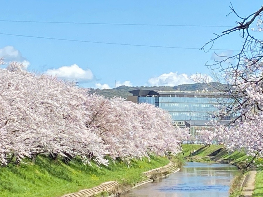 心に潤いとゆとりを